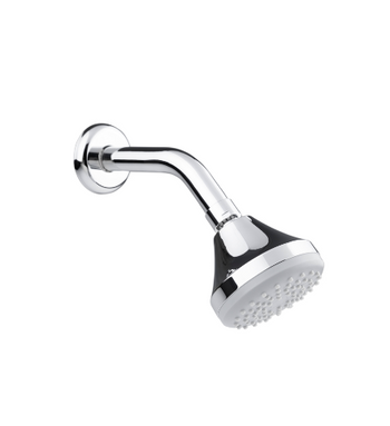 REGADERA Y CHAPETÓN 3007B