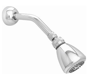 REGADERA CON BRAZO Y CHAPETÓN 296B